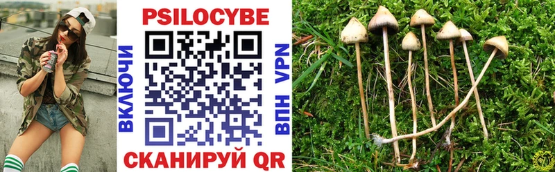 Псилоцибиновые грибы MAGIC MUSHROOMS  кракен ТОР  Куртамыш 
